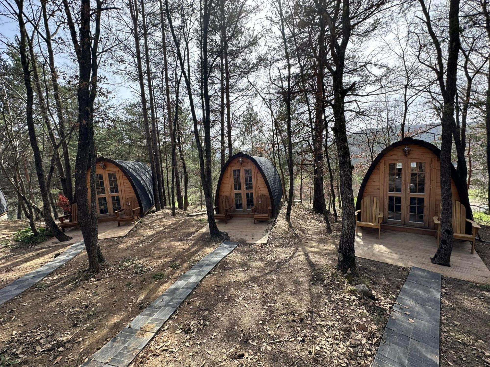 Camping Ripolles Exterior foto